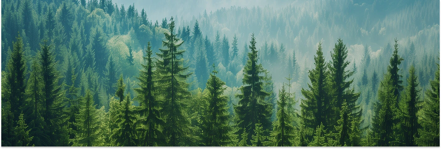 Gest&atilde;o Ambiental